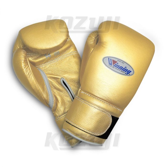 Cup Protector Winning Boxing F-73 Leather Maintenance Kit for Gloves Headgear 